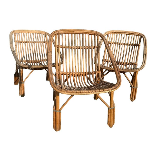 Set of 3 rattan armchairs from the 1960s, originating from the south of France