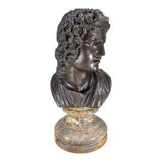 Bronze Bust of Apollo on Marble Pedestal Base For Sale