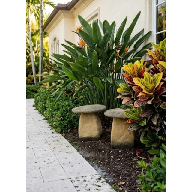 Stone Pair of Vintage Rustic Cast Stone Mushroom Garden Ornaments For Sale - Image 7 of 12