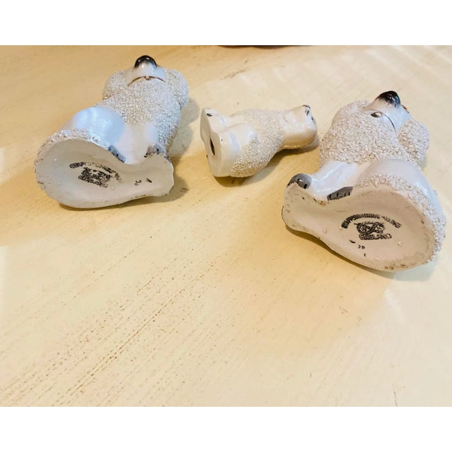 Antique Staffordshire Sign Poodle a Family - Set of 3 For Sale - Image 10 of 11