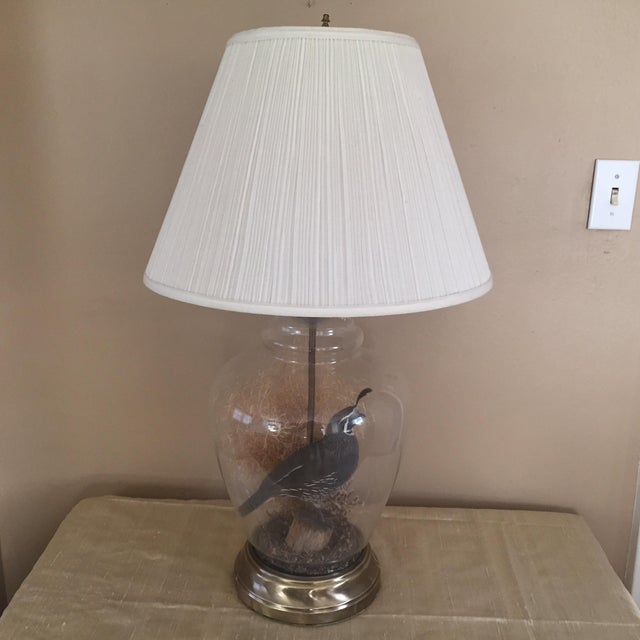 Vintage Quail Taxidermy Lamp Chairish