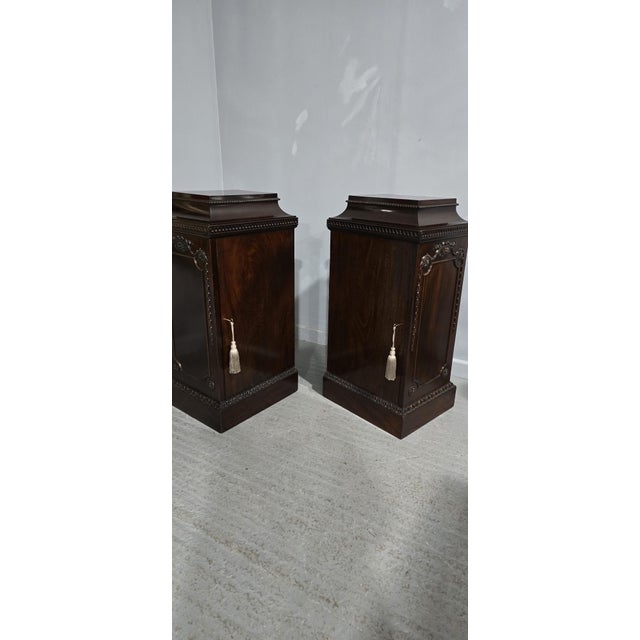 Brown Regency Mahogany Side Cabinets, 1815, Set of 2 For Sale - Image 8 of 18