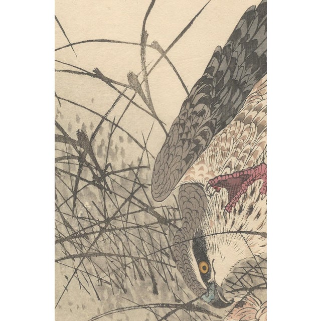 Imao Keinen, Eurasian Goshawk, 1892, Print For Sale - Image 7 of 18