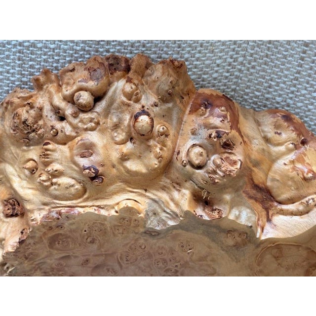 Wood Vintage Large Natural Burl Wood Ikebana Vessel For Sale - Image 7 of 7