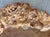 Wood Vintage Large Natural Burl Wood Ikebana Vessel For Sale - Image 7 of 7