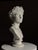 Plaster Bust of Emperor Augustus For Sale - Image 7 of 18