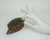 Mid 20th Century Modern Teak Wood Hedgehog Brush For Sale - Image 11 of 11