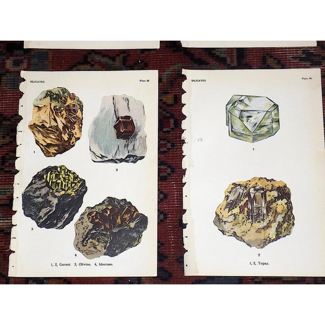 Authentic Antique 1916 Mineral Lithographs - Set of 12 For Sale - Image 4 of 8