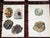 Authentic Antique 1916 Mineral Lithographs - Set of 12 For Sale - Image 4 of 8