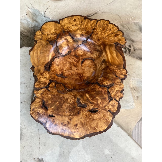 Wood Organic Modern Hand-Turned Natural Edge Sugar Maple Burl Centerpiece Bowl - 12.5x9.5 Inches For Sale - Image 7 of 12