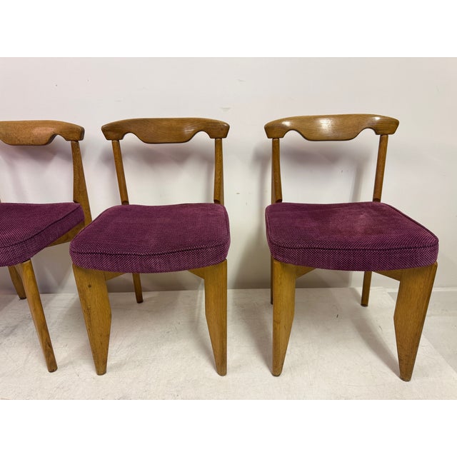 Mid-Century Oak Dining Chairs by Guillerme et Chambron, 1960s, Set of 4 For Sale - Image 9 of 16
