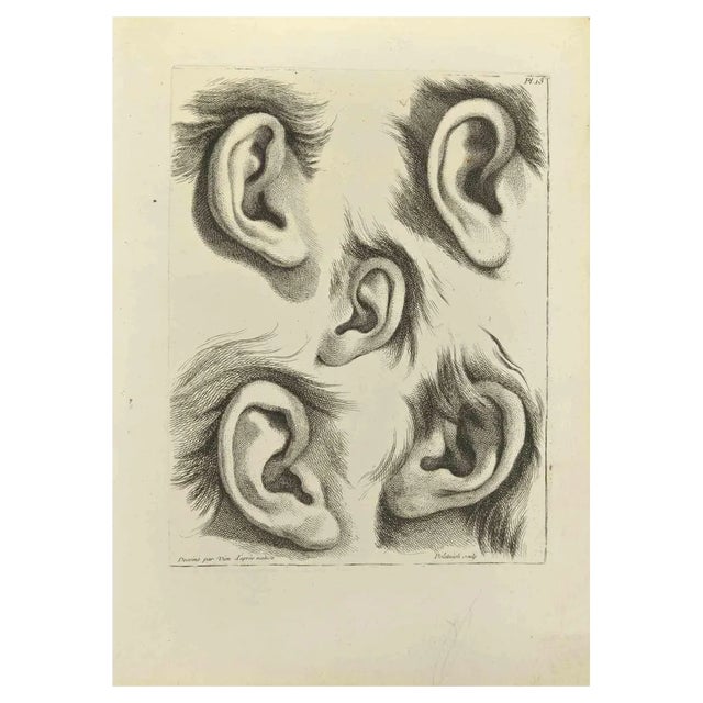 Jean François Poletnich, Ears, Etching, 1755 For Sale
