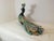 1980s Ceramic Peacock by Selim for Goebel, West Germany, 1984 For Sale - Image 5 of 12