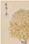 A refined example of late nineteenth-century Japanese botanical illustration, this vintage art print reproduction features...