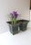 Italian Greek-Key Planters Potholders Cachepots Jardinières, Pair For Sale In New York - Image 6 of 15