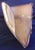 Cased Art Glass 17" Centerpiece Hand-Blown Nautical Conch Shell 3-Lb For Sale - Image 10 of 14