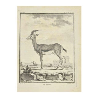 Pierre Francois Tardieu, Le Kevel, Etching, 1771 For Sale
