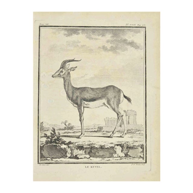 Pierre Francois Tardieu, Le Kevel, Etching, 1771 For Sale