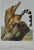 This is an original John James Audubon hand colored lithograph entitled "Ring-Tailed Bassaris", No. 20, Plate XCVIII, 98,...
