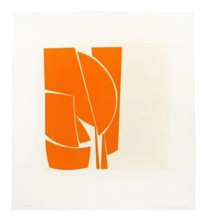 Joanne Freeman "Covers 1 Orange", Print