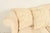 Wood Ethan Allen Chippendale Carved Mahogany Upholstered Camelback Sofa For Sale - Image 7 of 13