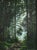 Paint Contemporary 'Light at the End' Original Woodland Landscape Oil Painting, Framed For Sale - Image 7 of 11