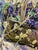 2000 - 2009 Georgij Moroz, Branch of Willow and Violets, 2002, Oil Painting For Sale - Image 5 of 7
