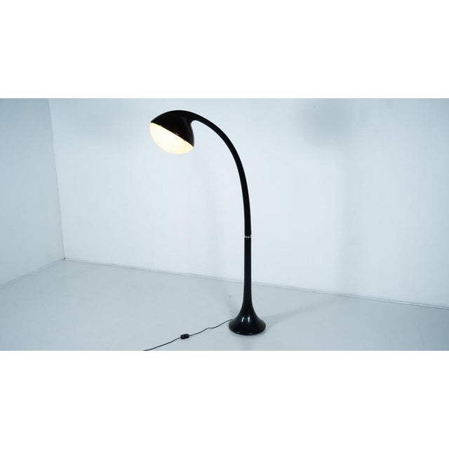 Lampione Floor Lamp attributed to Fabio Lenci for Guzzini, 1970s For Sale - Image 6 of 10