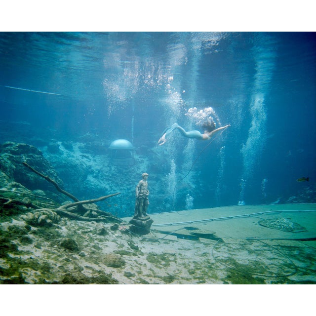 "The Mermaid. Weeki Wachi Springs. 2017" is a Dye Sublimation Print on Aluminium. This print is available from an Edition...