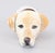 A fine rare vintage English Staffordshire Labrador Retriever hunting dog porcelain stirrup cup produced by Royale...