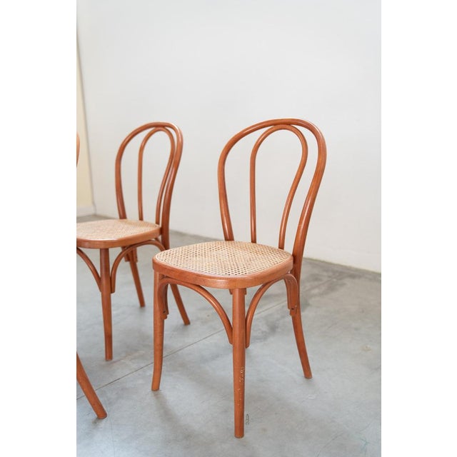 Wood Chairs in Curved Beech Wood and Straw Seat, 1990s, Set of 6 For Sale - Image 7 of 17