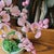 VTG Glass Pink Cherry Blossom Flowers Leaves Bonsai Tree 12" Tall 4.5" Round MCM For Sale - Image 6 of 16