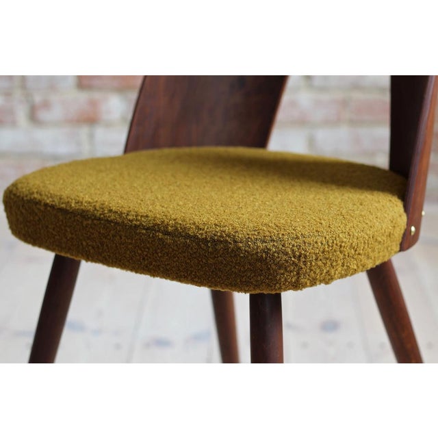 Mid-Century Dining Chairs by A. Suman, Set of 10 For Sale - Image 16 of 17