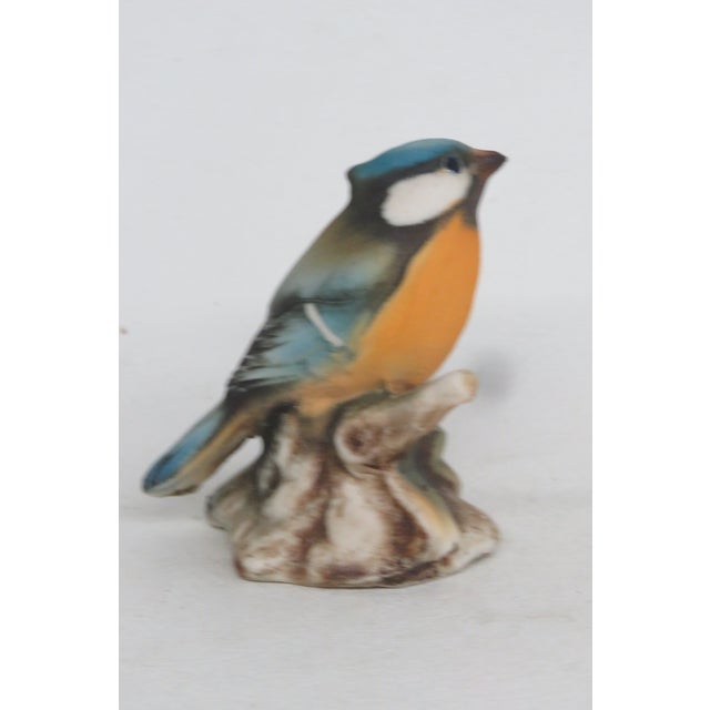 Capodimonte Capodimonte Savastano Eurasian Blue Tit Ceramic Figurine Bird on a Branch 4496b For Sale - Image 4 of 17