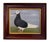 Matt Rix, Naïve Style Racing Pigeon, Oil Painting, Framed For Sale - Image 12 of 12
