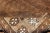 Vintage Turkish Kars Rug With a All-Over Lattce Design in Brown Tones 6'4 X 9'7 For Sale - Image 9 of 11