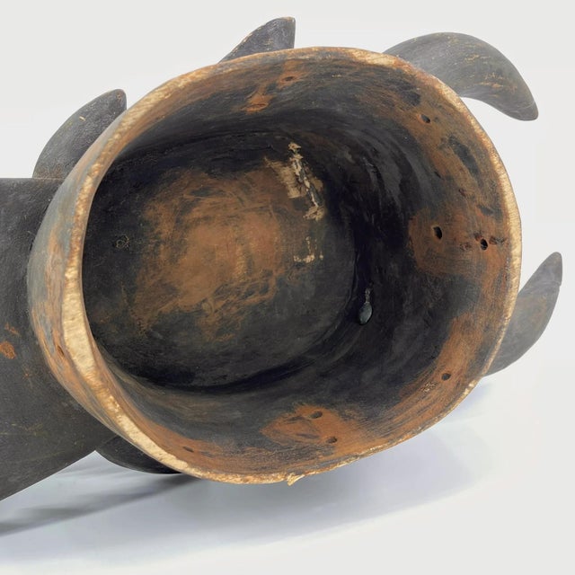 Wood Early 20th Century Senufo Firespitter Helmet Mask Côte d'Ivoire For Sale - Image 7 of 9