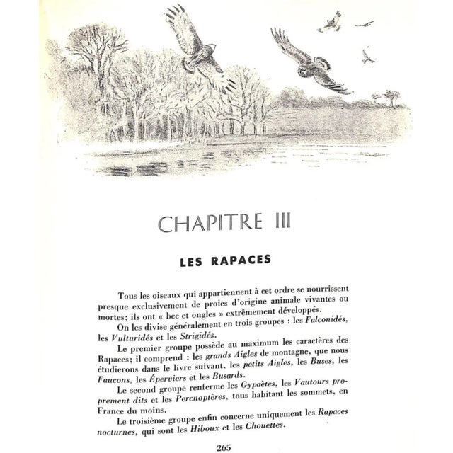 White "Les Chiens D'Arret" 1971 Oberthur, J. For Sale - Image 8 of 12