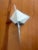 Artemide 1980s Artemide Wall Lights Steve Lombardi Filicudara Sconces - A Pair For Sale - Image 4 of 5