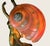Art Nouveau Art Nouveau Lady Nautilus Shell Lamp Circa 1900 For Sale - Image 3 of 5