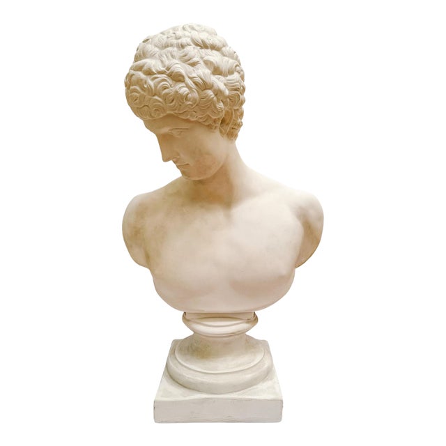 Large Scale Antinous Plaster Bust For Sale