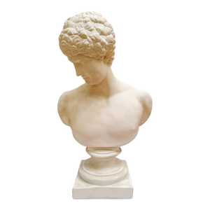 Large Scale Antinous Plaster Bust