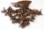 Swiss Black Forest Eagle Coat Rack in Walnut, 1880s For Sale - Image 11 of 11
