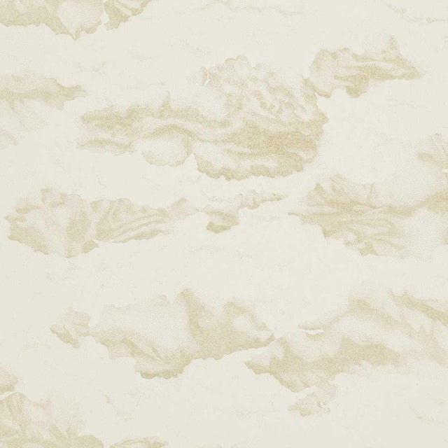 Harlequin Nuovola Wallpaper in Gold/Shell - a Sample For Sale