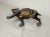 Rare Antique Original A. C. Williams Orak Painted Camel Cast Iron Still Bank For Sale - Image 9 of 9