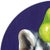 A Portrait of a Badger and His Pear - Original Animal Portrait Oil Painting on Wood Panel by Jj Galloway For Sale - Image 4 of 9