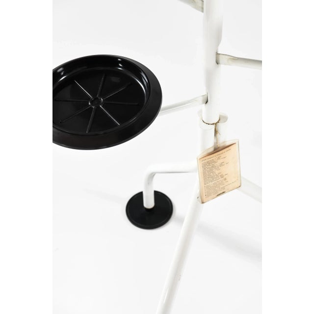 Albero Plant Stand by Achille Castiglioni for Zanotta, Italy For Sale - Image 6 of 9