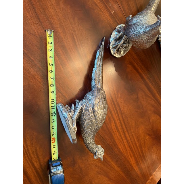 Pheasant Pair For Sale - Image 13 of 14