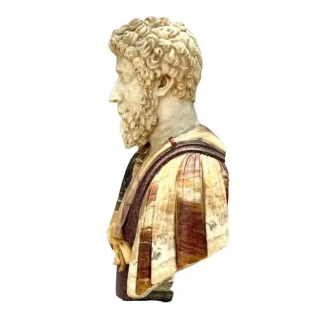 Italian Specimen Marble Busts of Roman Emperors, a Pair For Sale - Image 14 of 17