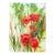 Poppies, Original Oil Painting on Canvas, Signed For Sale